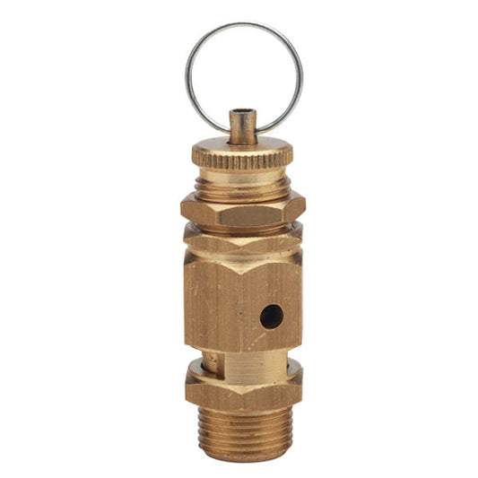 Brass Spring Relief Valve