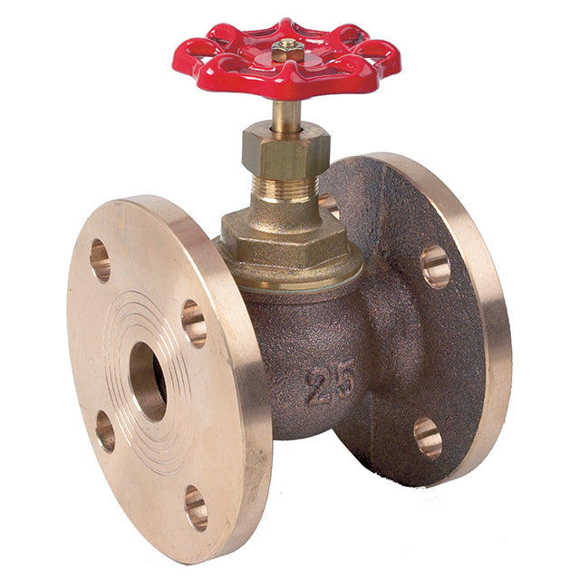 Bronze Globe Valve - Flanged Table F