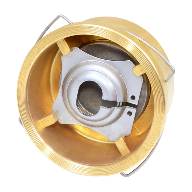 Brass Wafer Spring Check Valve
