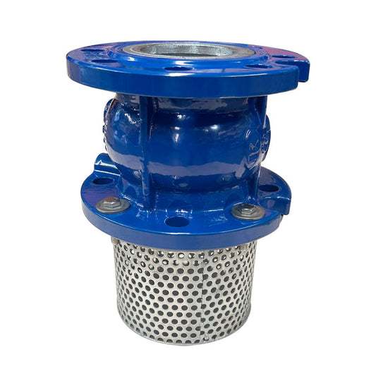 Foot Valve & Strainer