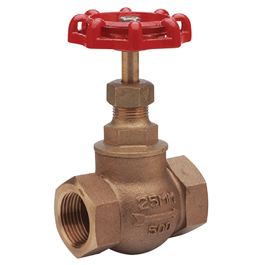 Bronze Globe Valve - PN32 - NPT