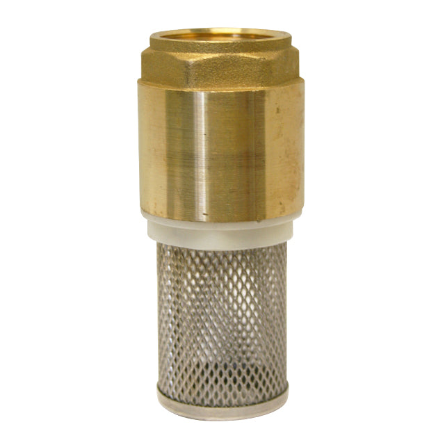 Brass Spring Check Valve + Strainer