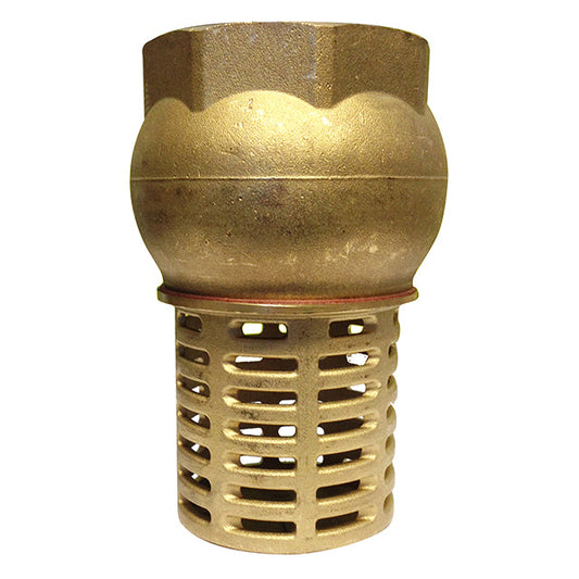Brass Foot Valve + Strainer