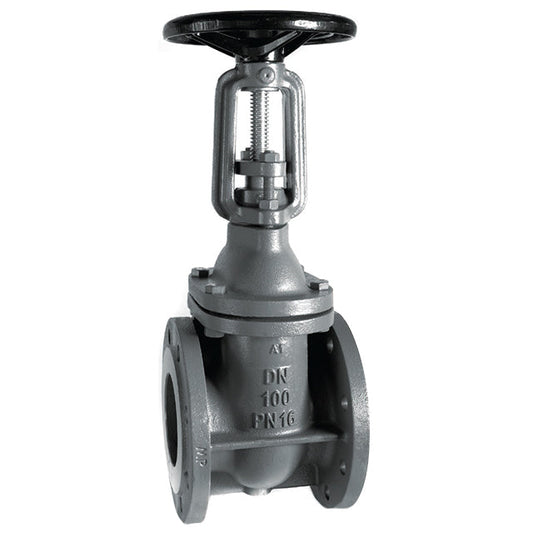 Cast Iron Gate Valve - Flanged PN16 - Rising Stem