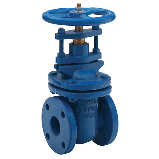 Cast Iron Gate Valve - Flanged Table E