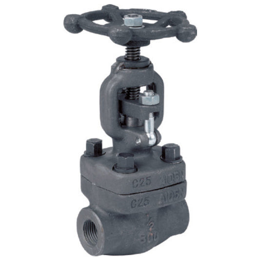 Forged Steel Globe Valve - BSPP