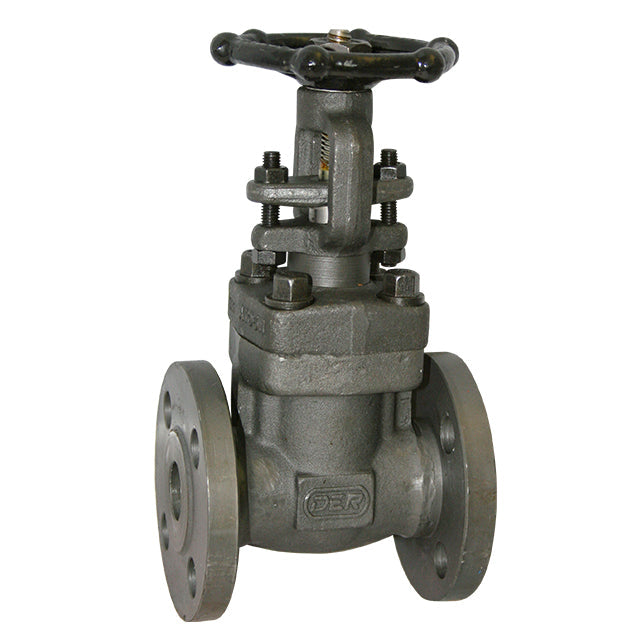 Forged Steel Gate Valve - Flanged ANSI 150