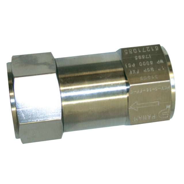 Stainless Steel Check Valve - 6,000psi - BSPP