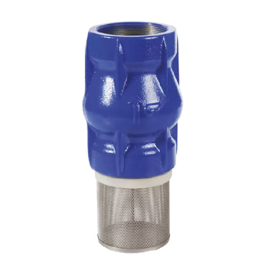 Cast Iron Check Valve & Strainer