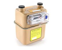 Sensus U6 Diaphragm Gas Meter