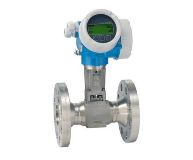 Prowirl F 200 Steam Meter